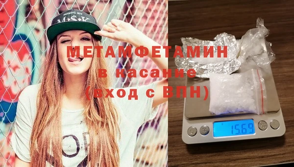 шишки Абаза