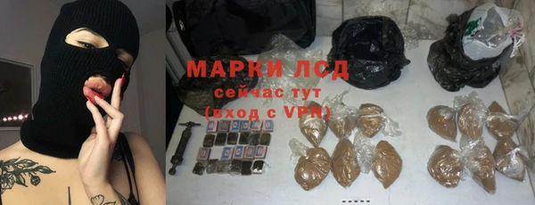шишки Абаза