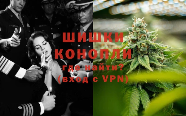 шишки Абаза