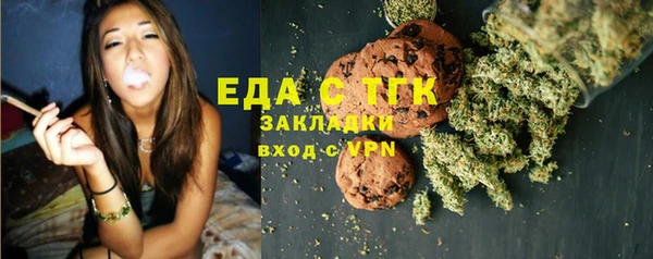 хмурый Алексин