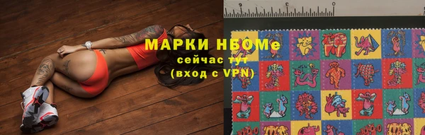 шишки Абаза