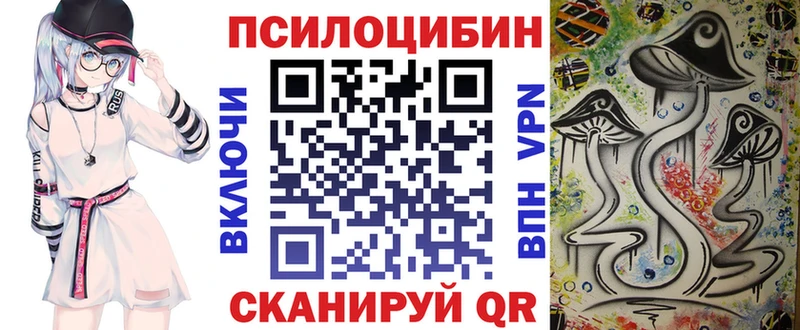 Псилоцибиновые грибы Psilocybine cubensis  Катайск 